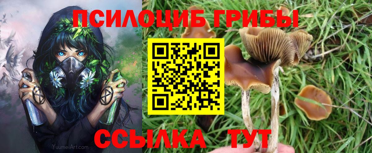 Галлюциногенные грибы Psilocybe  Вход с VPN  Долгопрудный 