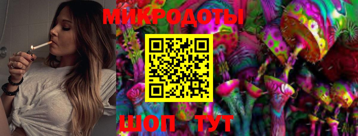 Псилоцибиновые грибы Psilocybe Долгопрудный