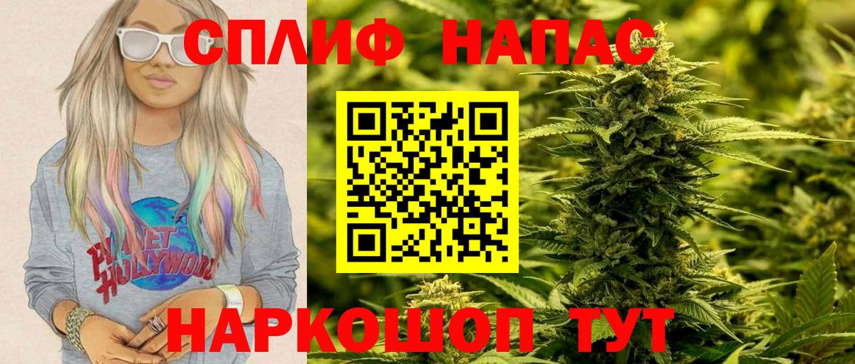 МАРИХУАНА ГИДРОПОН Долгопрудный